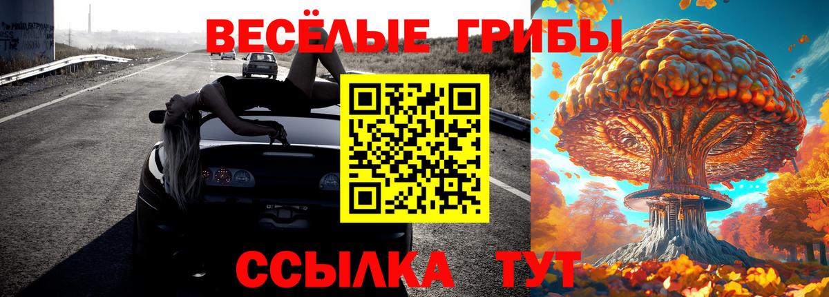 Галлюциногенные грибы мухоморы Новороссийск